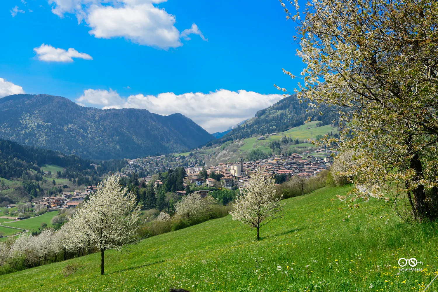 Dettagli