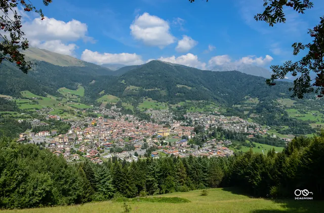 Dettagli