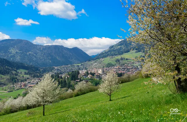 Dettagli